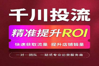 百度SEO推广公司经典之作：打造行业领先品牌